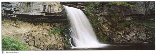 Thornton Force postcards